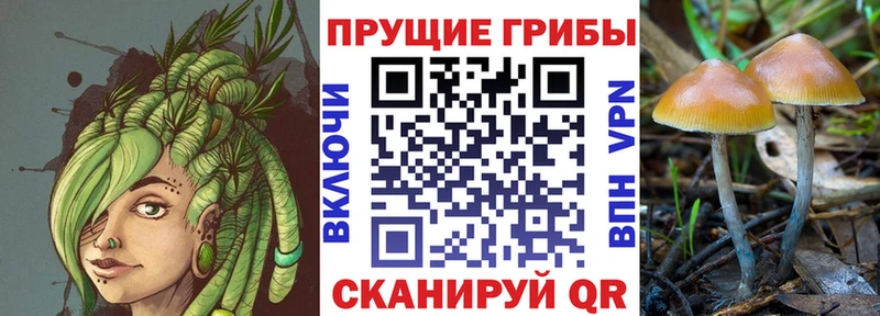 Галлюциногенные грибы Cubensis  МЕГА маркетплейс  Суворов 
