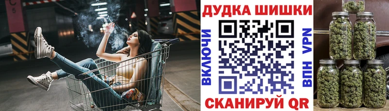 цены   Суворов  Бошки Шишки гибрид 